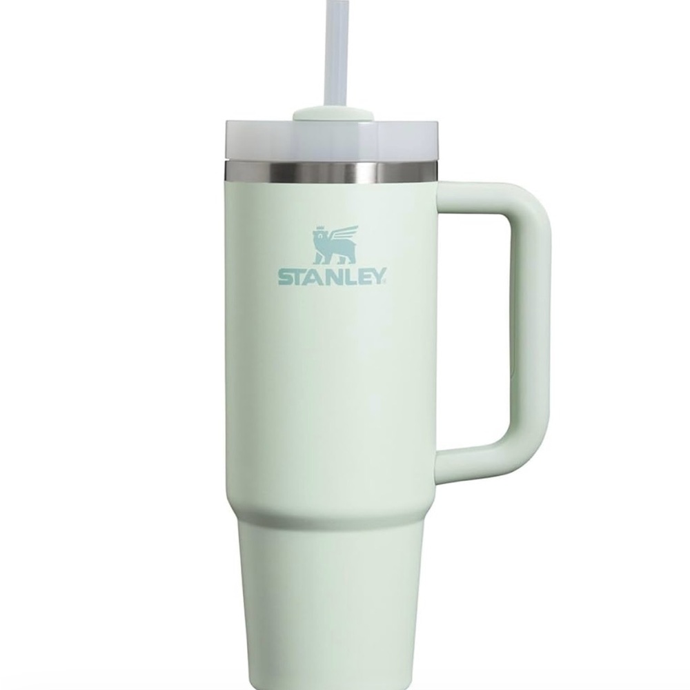 Stanley Mint Green Tumbler with Handle- BRAND NEW WITH TAGS; NO BOX